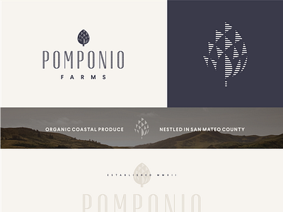 Pomponia branding custom type flat geometric logo