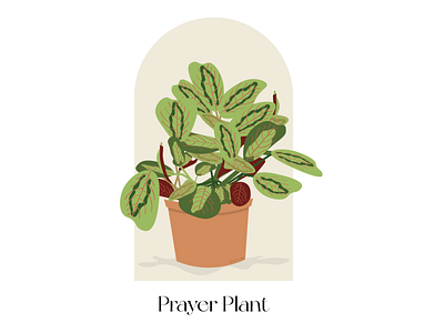 Livin' on a Prayer [Plant] adobe illustrator color green green illustration illustration illustration art illustrator plant plant illustration prayer plant