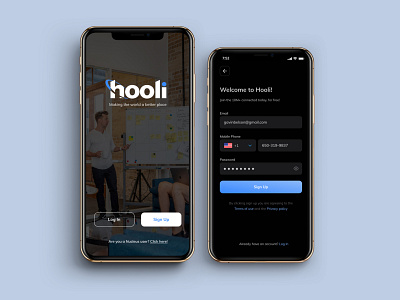 Daily UI 001 - Sign Up Page (Hooli - Silicon Valley)