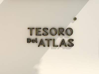 Tesoro Del Atlas 3d argan branding cosmetic identity letters logotype organic tesoro typography