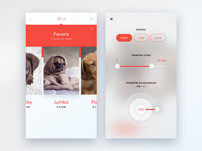 Pet Adoption App | Favorites & Filters app distance filter ios range slider