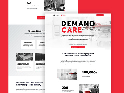 Demand Care design web design website wireframes