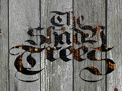 Shady Trees burned wood logo