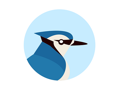 Bluejay Labs logo bird bluejay logo design