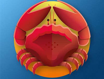 The Zodiac Signs - Cancer adobe illustrator blue cancer color crab flat design gradients illustration medallion orange product design red texture vector vector illustration zodiac zodiac signs
