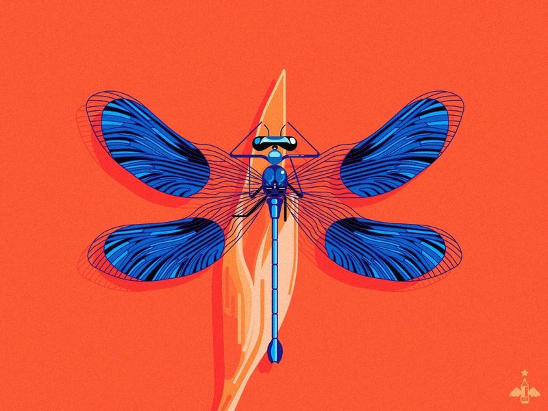 Daily Doodle Exercise - Dragonfly adobe illustrator blue contrast daily art daily doodle daily illustration daily vectors digital illustration dragonfly flat design flat designs flat illustration insect orange product design vector vector illustration vectorart