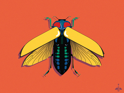 Daily Doodle Exercise - Colorful Beetle