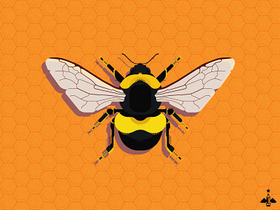 Daily Doodle Exercise - Honey Bee adobe illustrator bee black bright contrast contrasting daily art daily doodle daily illustration daily vector details flat design honey bee insect orange product design vector vector art vector illustrator yellow