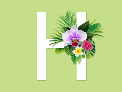 Alphabet Challenge - H flat design vector artwork vector illustration computer illustration computer art illustration vector art digitalart digital illustration flowers illustration palm frangipani hibiscus orchids plants flowers typography futura alphabet challenge alphabet