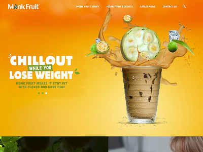 Monkfruit Landing page user experience design user interface design