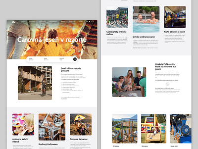 Ecological accomodation - Demanova Resort accomodation booking ecology figma holiday hotel landingpage mountains nature resort stay uiux web design