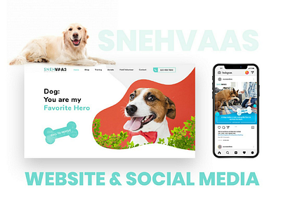 Pet Rescue Website & Social Media
