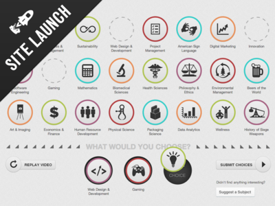 Interactive Alumni Poll - Microsite Launch