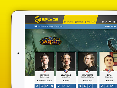 World Of Warcraft Pro Team Page