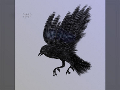 The raven 2d 2d art animal animal art bird digital digital 2d illustration inktober raven