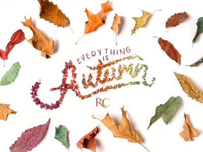 Rustic Cuff Type Treatment autumn autumn leaves colorful flat lay photography type treatment typography web