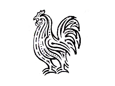 cock bird cock sketch