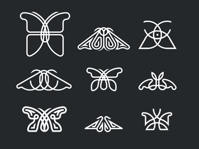 Butterfly collection