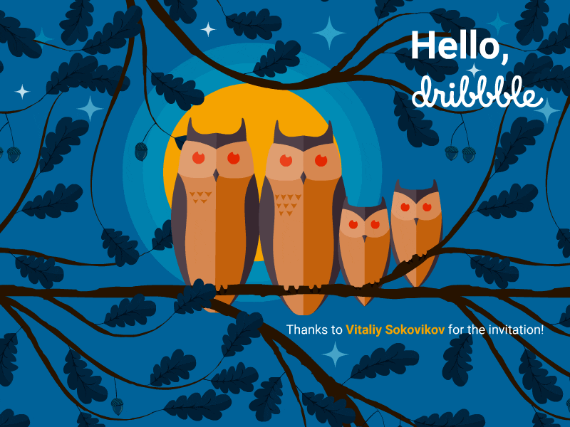 Hello, Dribbble! adobe animate animated animation debut hello dribbble hello dribble illustrator motion design motion graphic motiongraphics owls vector welcome shot