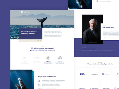 Investment Group business clean corporate group investment money ocean purple ui uidesign whale