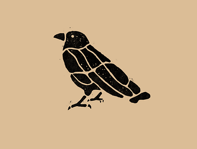 Raven design graphic design illustration logo