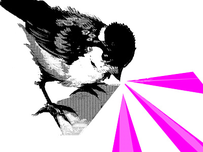 CHIRP 02 abstract abstract design aesthetic bird bird graphic bird graphic design bird meme chirp contrast daily post dailyposter design graphic graphic design graphicdesign halftone halftone bird halftones meme bird simple