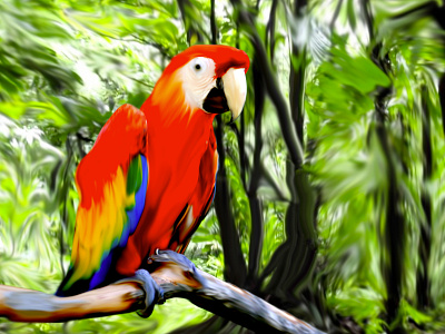 Parrot Painting design art digital painting paintings photoshop art