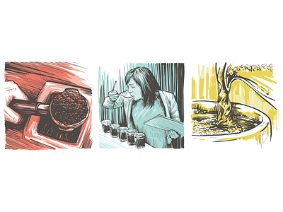 Coffee Trio caffeine coffee illustration