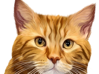 Cinnamon bun animals artist cat furry illustration illustrator kitty pets portraits