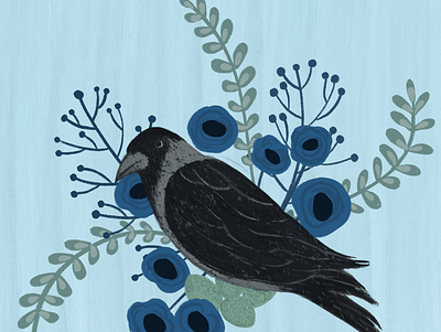 Crow artist bird crow illustration illustrator indiancrow nature