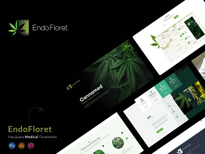 Endoflorent website design illustration minimal website