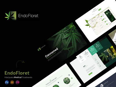 Endoflorent website