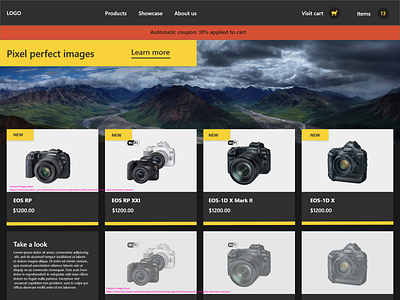 Misc Camera Company ui web