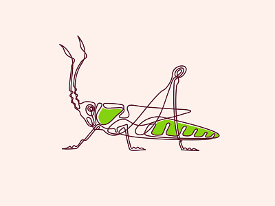 GRASSHOPPER adobeillustrator design digital art grasshopper icon illustration india insect insects logo minimal vector wacom intuos
