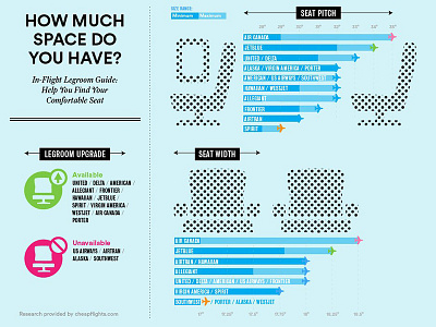 In-Flight Legroom Guide Infographic