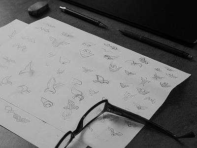 Hand Drawn Bird brand branding design drawing drawn hand identity logo pencil sketches style