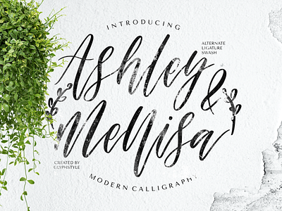 Ashley & Mellisa Modern Calligraphy branding calligraphy design handlettering typography