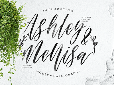 Ashley & Mellisa Modern Calligraphy