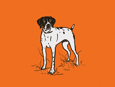 Buddy bird dog brand brand identity branding design dog drawing icon illustration logo logo design michigan