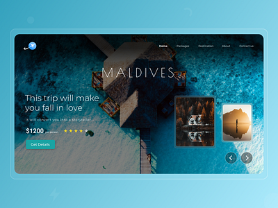 Trippy - Holiday Planner | NovoStack artist blue clean creative dailyui holiday homepage location maldives minimal paradise place simple travel trip vacation water website