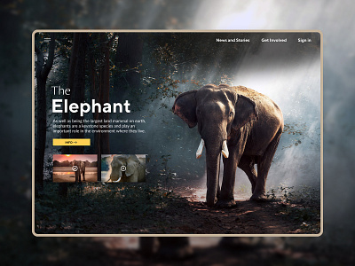 The Elephant nature ui ux webdesign