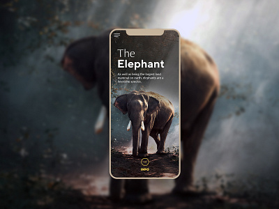 The Elephant - mobile mobile design ui ux web design website design