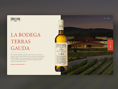 Terras Gauda | Landing Page landingpage landingpagedesign packaging terrasgauda ui uidesign vino wine