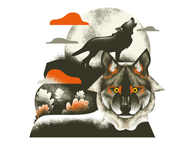 Iberian wolf illustration