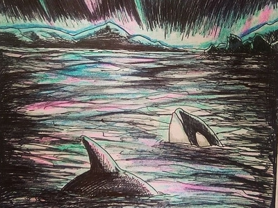 Killer Whales animals animals illustrated fantasy art illustration ink ink drawing whale