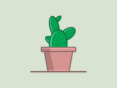 Cactus cacti cactus desert green plant pot succulents