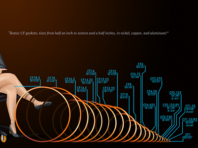 Bostec CF Gasket size comparison infographic adobe illustrator aerospace clip studio paint infographic scientific illustration technical illustration