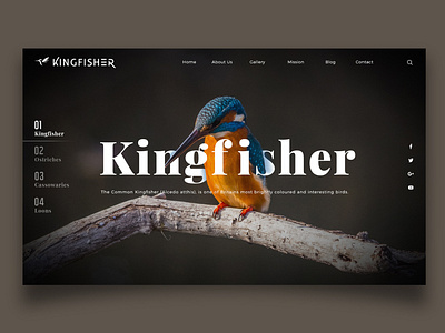Kingfisher Landing Page adobe photoshop bird creative creative design flat design graphics design landing page ui ui design web web design website website design