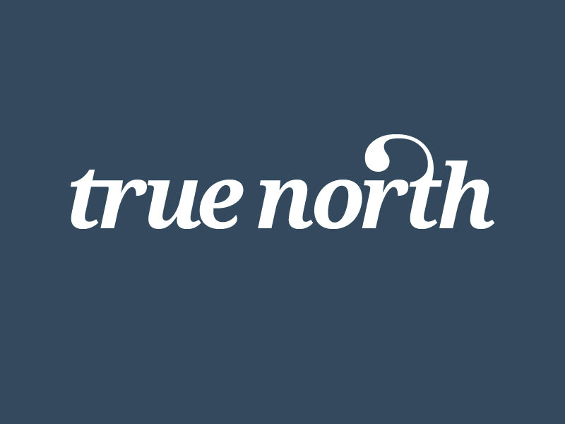 True North identity logo true north