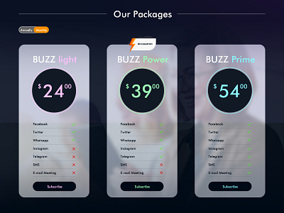 Bundles/Subscriptions/Packages packages subscriptions uidesign webdesign